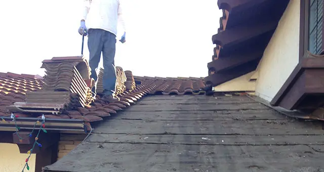 Home and Business Roof Inspection Contractor